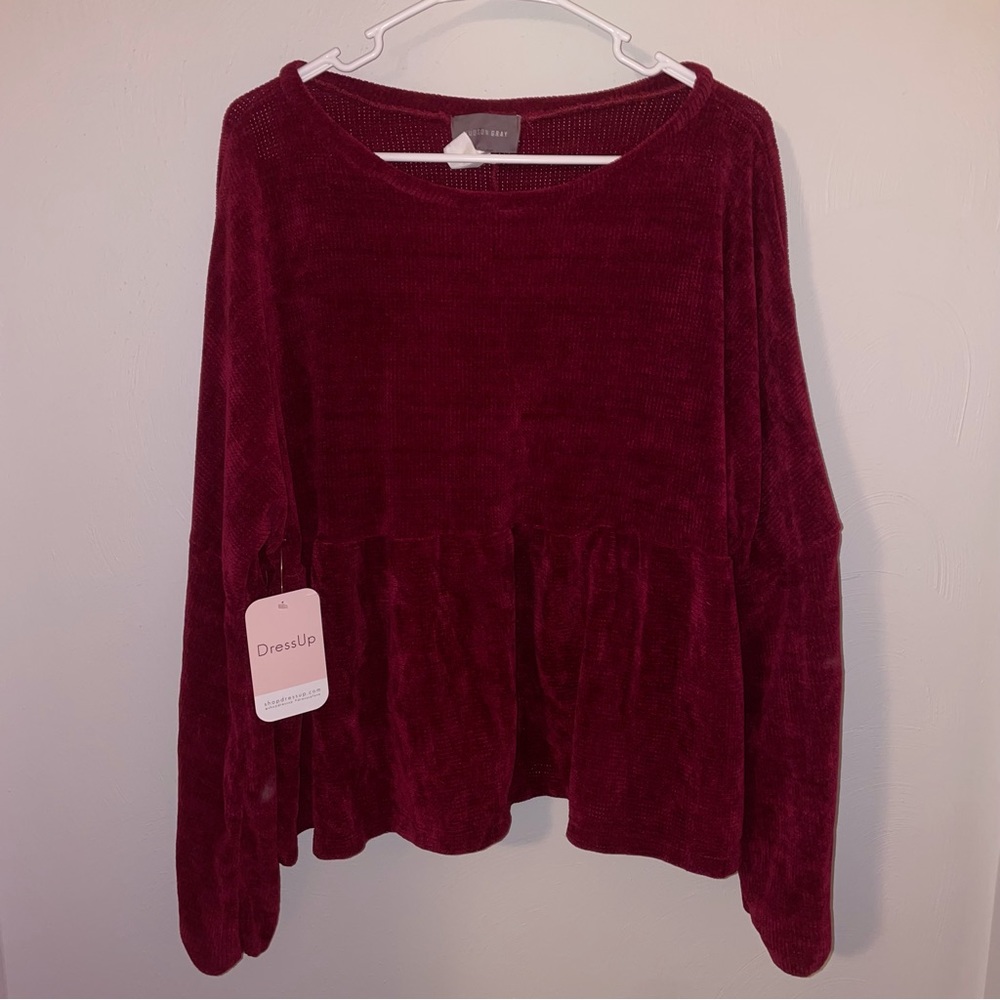 NWT Hudson Gray Velvet top
